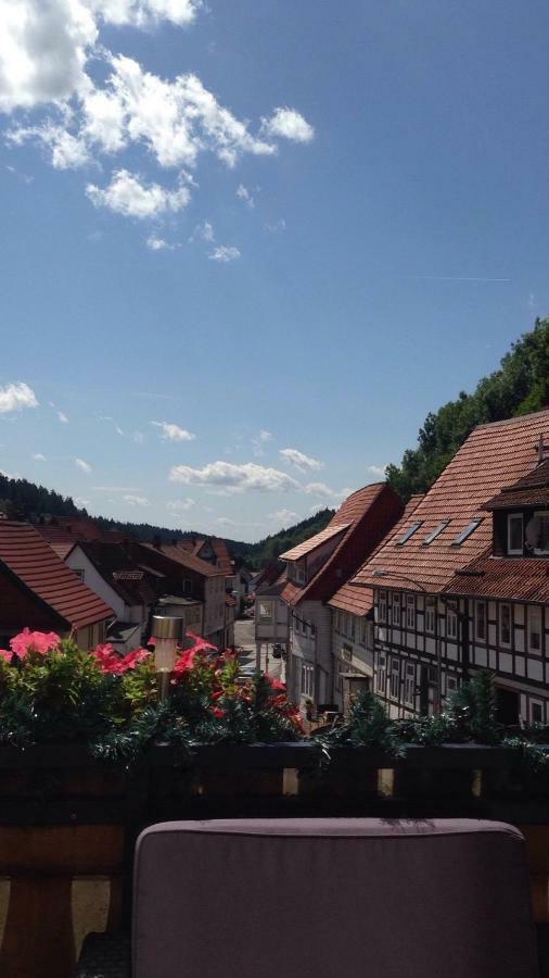 Ferienwohnung Zur Alten Post Бад Грунд Екстериор снимка